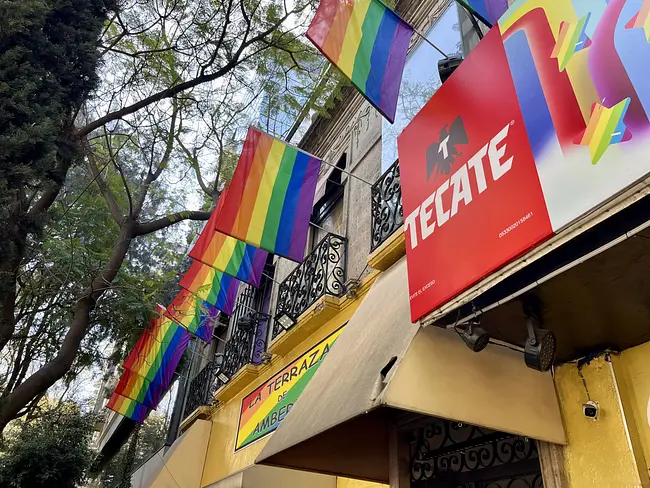 Gay Flags in the Zona Rosa