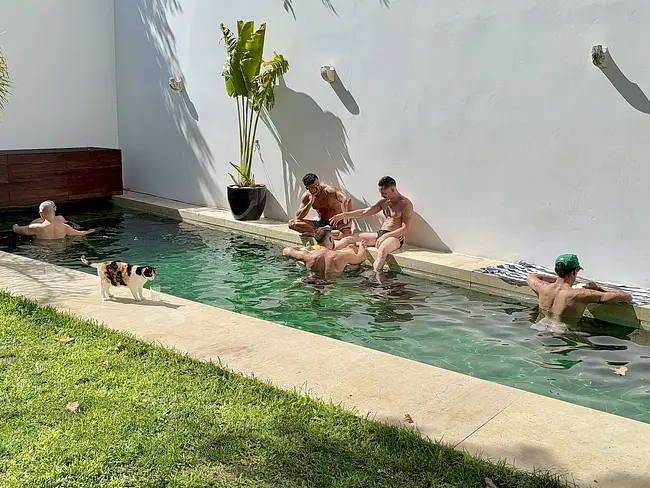 The Late Birds Hotel