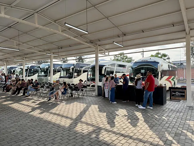 Check-In & Buses