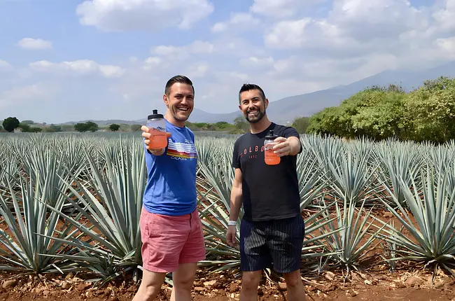 Agave Fields in Tequila