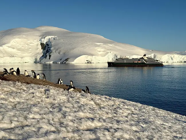 Seabourn Pursuit at Dhainaut Islant - Ship view with penguins